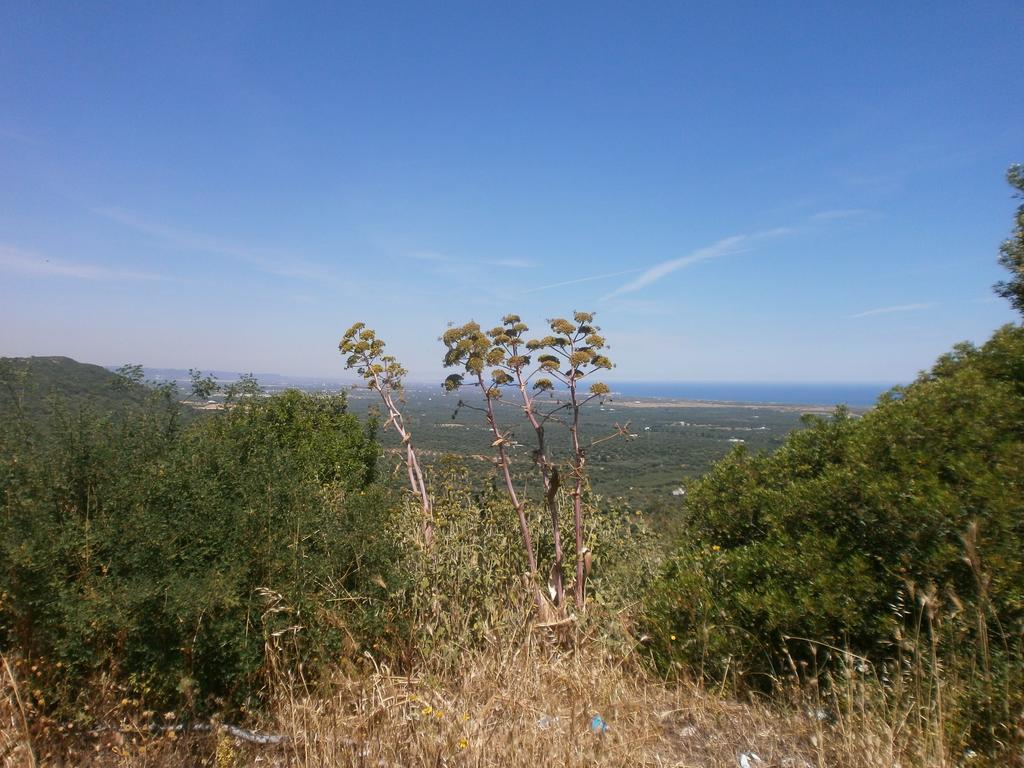 Trullo Villa Giuliana con giardino Posizione panoramica Free wifi Ostuni Camera foto